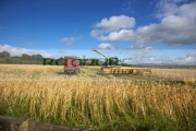 Agriculture