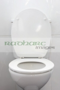 toilet-bowl-with-lid-up-seat-down