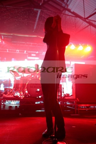 BELFAST,-UNITED-KINGDOM-_-NOVEMBER-16:-Bobby-Gillespie-Primal-Scream-performs-at-St-Georges-Market-on-November-16,-2008-in-Belfast,-Northern-Ireland