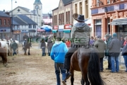 rider-horse-on-display-during-the-ballyclare-may-fair-county-antrim-northern-ireland