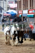 man-riding-horses-on-display-at-the-ballyclare-may-fair-county-antrim-northern-ireland