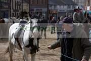 man-leading-horse-down-main-street-during-horse-trading-ballyclare-may-fair-county-antrim-northern-ireland
