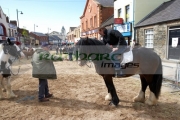horse-trading-during-ballyclare-may-fair-county-antrim-northern-ireland