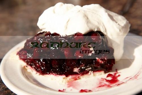 saskatoon berry pie with whipped cream Saskatchewan Canada