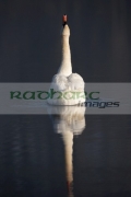 Getty Images
