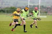 teenage-boys-wearing-protective-helmet-run-with-the-sliothar-ball-during-practise-hurling-game