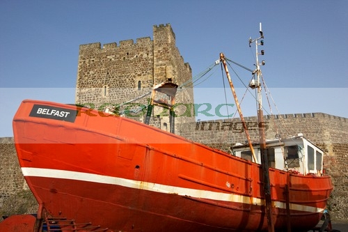 old-fishing-boat-in-front-carrickfergus-castle-in-northern-ireland
