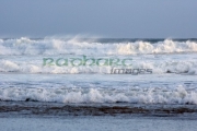 north-atlantic-waves-breaking-on-benone-strand-beach-county-derry-londonderry-northern-ireland-uk