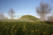 Dundonald-moat-or-motte-man-made-artificial-mound-for-fort-county-down-northern-ireland-uk