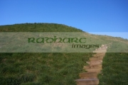 steps-leading-up-to-the-top-Dundonald-moat-or-motte-man-made-artificial-mound-for-fort-county-down-northern-ireland-uk