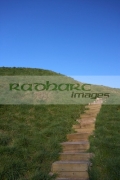 steps-leading-up-to-the-top-Dundonald-moat-or-motte-man-made-artificial-mound-for-fort-county-down-northern-ireland-uk