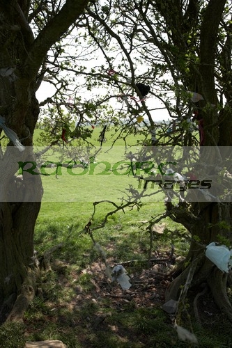offerings-attached-to-fairy-thorn-tree-on-the-hill-tara-in-county-meath-republic-ireland