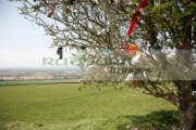 offerings-attached-to-fairy-thorn-tree-on-the-hill-tara-in-county-meath-republic-ireland