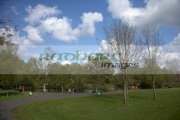 Peatlands-country-Park-county-tyrone-northern-ireland-uk