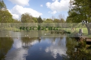 Peatlands-country-Park-county-tyrone-northern-ireland-uk