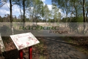 the-bog-garden-peatland-education-area-at-Peatlands-country-Park-county-tyrone-northern-ireland-uk