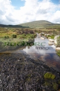 small-stream-flowing-through-area-known-as-st-kevins-road-in-the-wicklow-mountains