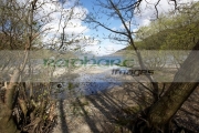 small-burn-stream-flowing-into-Loch-Lomond-through-trees-Scotland-UK