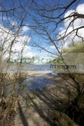small-burn-stream-flowing-into-Loch-Lomond-through-trees-Scotland-UK