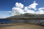 Loch-Lomond-shoreline-Ben-Lomond-Scotland-UK