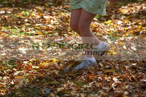 legs of young girl wearing trainers and socks running through carpet of fallen autumn leaves