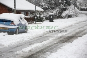 Seasonal images