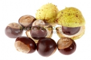 Seasonal images