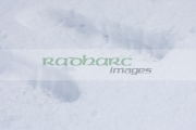bootprints-in-the-snow