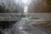 frost-on-rural-irish-lane-on-cold-frosty-winter-morning-in-ireland