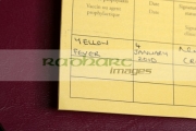 international-certificate-vaccination-or-prophylaxis-document-for-yellow-fever-vaccine-dated-lying-on-an-eu-passport