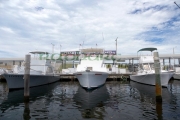 charter-fishing-boats-charter-boat-row-city-marina-key-west-florida-usa