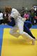 Northern Ireland Judo Youth Games 12th February 2011